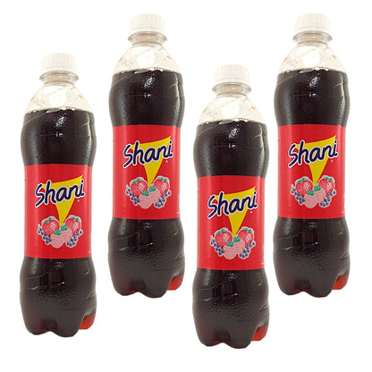 SHANI Berry Fruit Drink - 2 x 500 ml. bottle